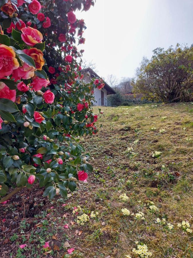 La Casa Delle Camelie Villa Stresa Kültér fotó