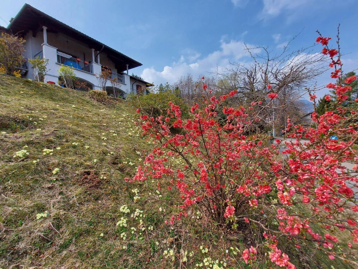La Casa Delle Camelie Villa Stresa Kültér fotó