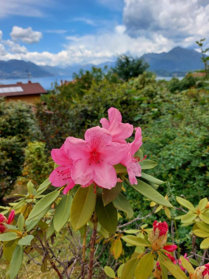 La Casa Delle Camelie Villa Stresa Kültér fotó