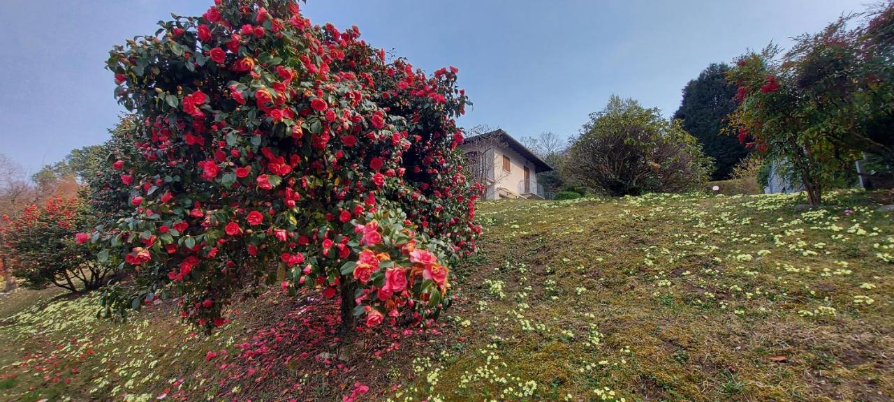 La Casa Delle Camelie Villa Stresa Kültér fotó